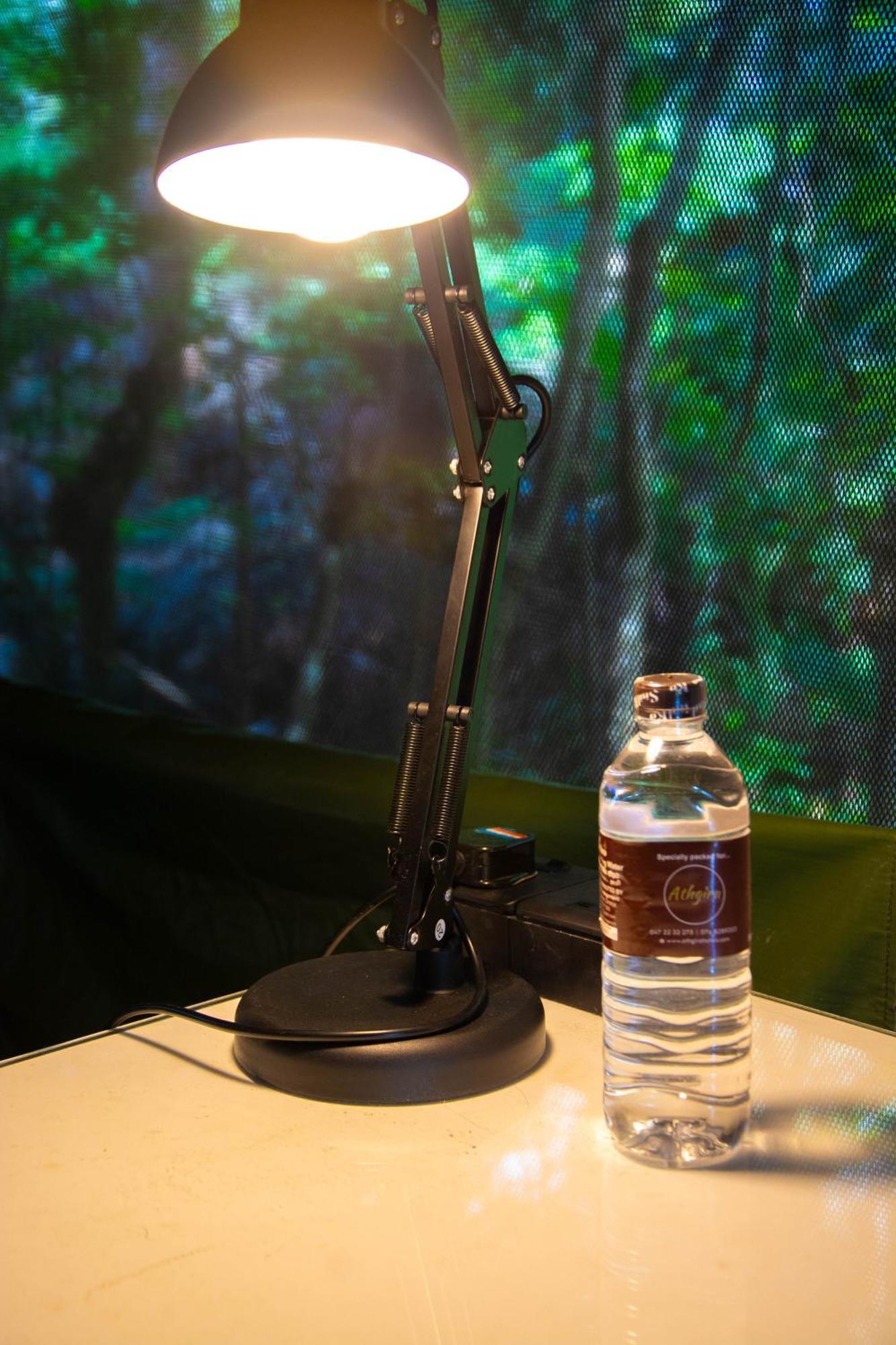 Athgira River Camping - อุดาวาลาเว ภายนอก รูปภาพ